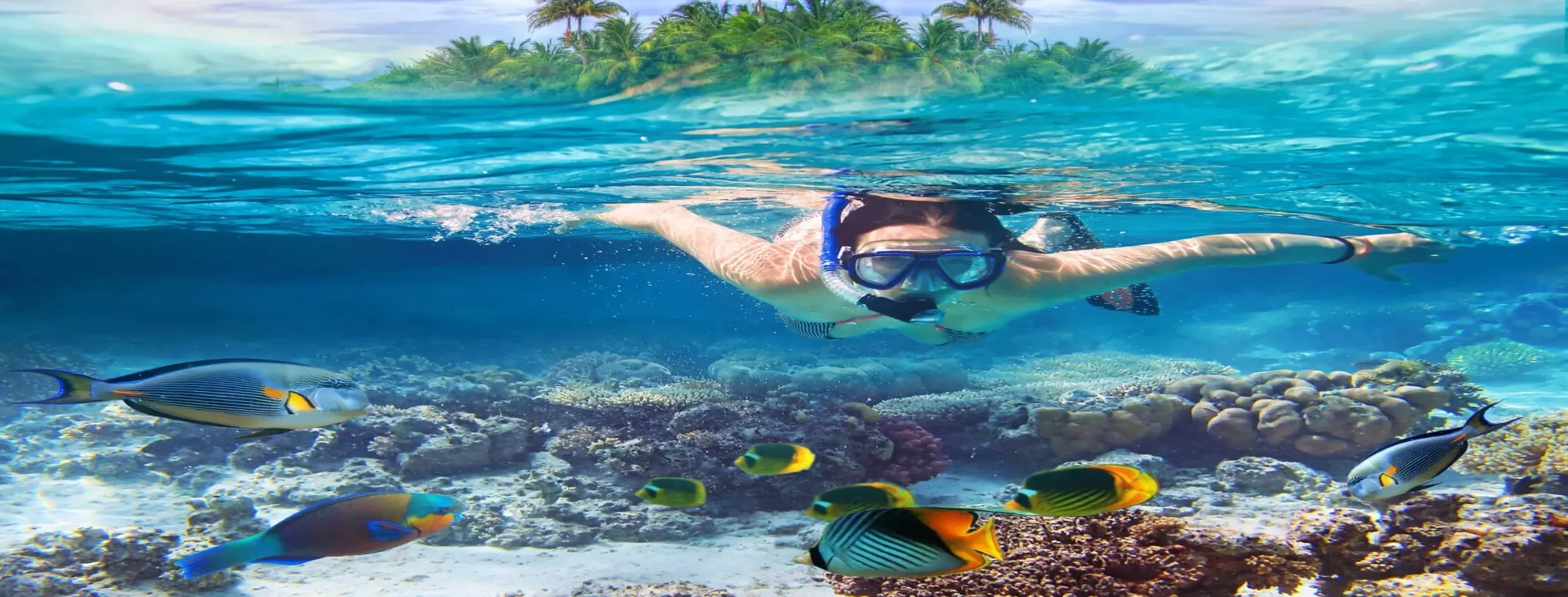 Image for Diving and Snorkeling